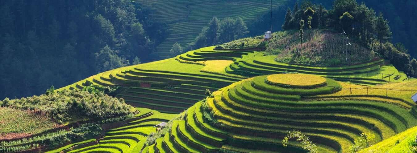 Navigating Travel Made Easy - Get Your Express Vietnam Visa from Netherlands