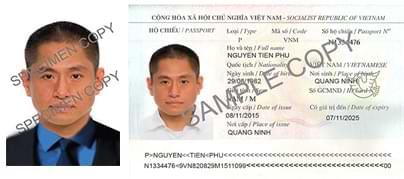 Urgent Vietnam e-visa processing Tet 2026 - Secure Your Entry During the Festive Season