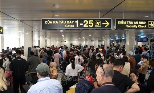 URGENT ALERT: Tan Son Nhat Airport 2026 Entry Rules – No Declaration, No Entry!