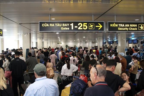 URGENT ALERT: Tan Son Nhat Airport 2026 Entry Rules – No Declaration, No Entry!